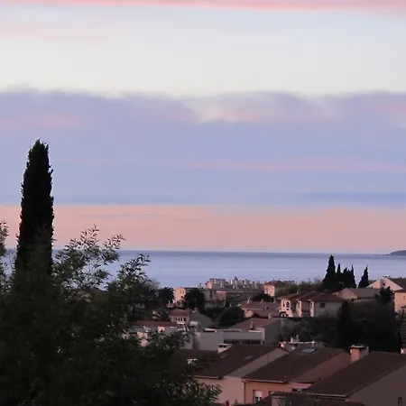 Les Mimosees
