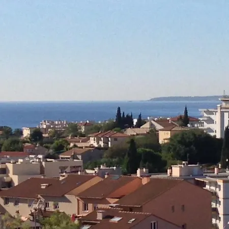 Les Mimosees