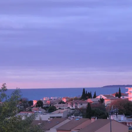 Les Mimosees